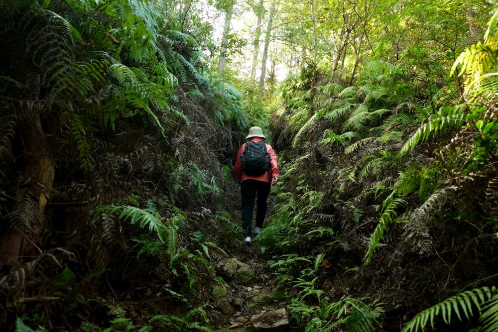 修験道の舞台になった厳しい山道を進む 