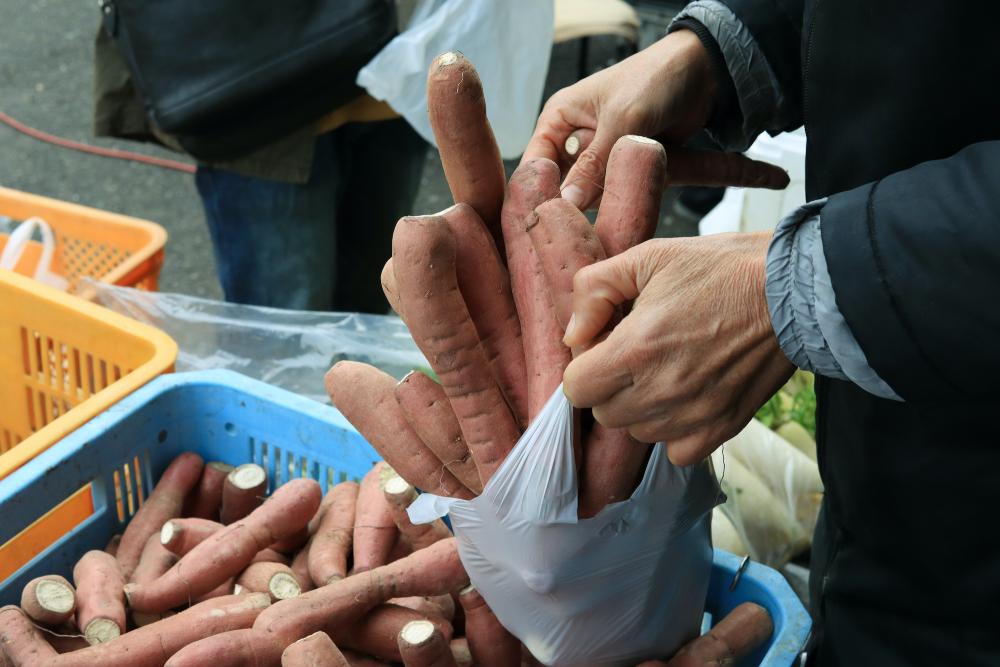  ［なると金時　里むすめ］の詰め放題！