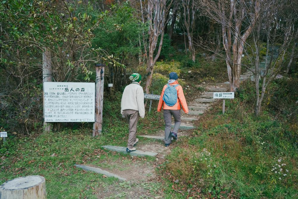 Observe rare alpine plants in Japan!