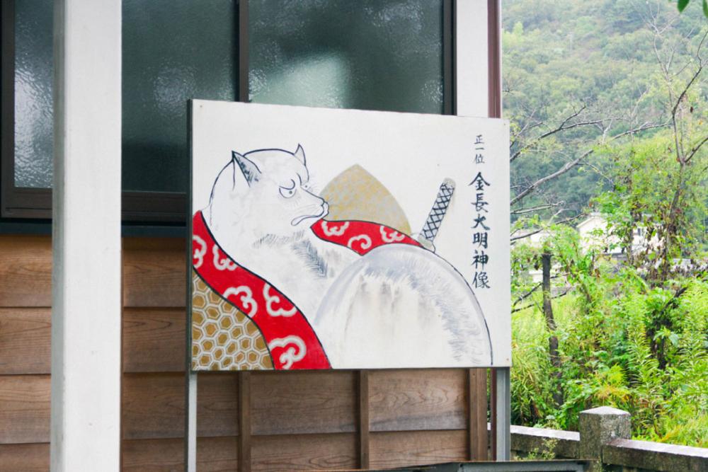 What is the “Awa-Tanuki Gassen”?