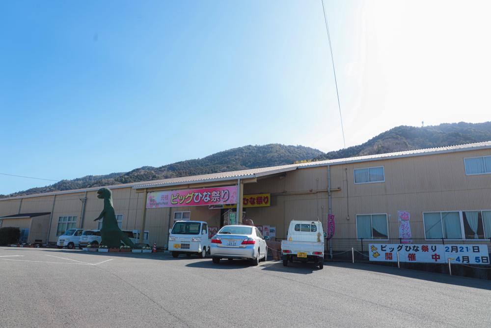 第38回阿波勝浦・元祖「ビッグひな祭り」 