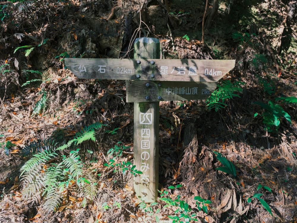 The "Buddha Stone" stands quietly deep in the mountains. 
