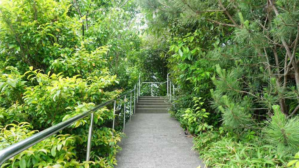 How to enjoy Mt. Benten 