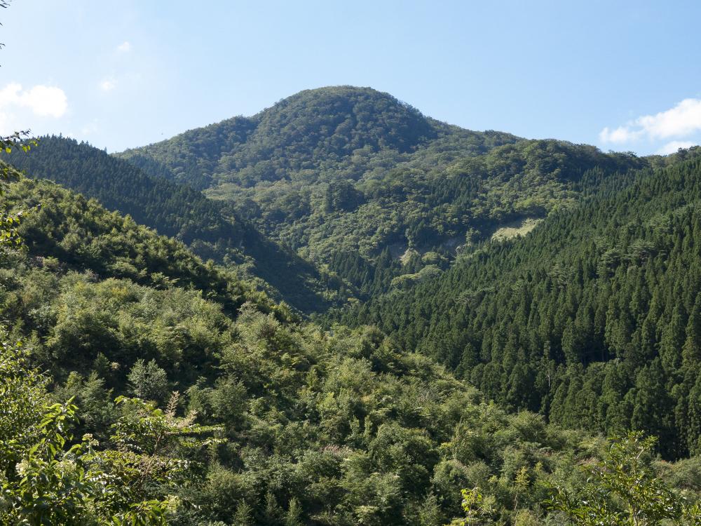 高丸山千年の森（たかまるやませんねんのもり） 