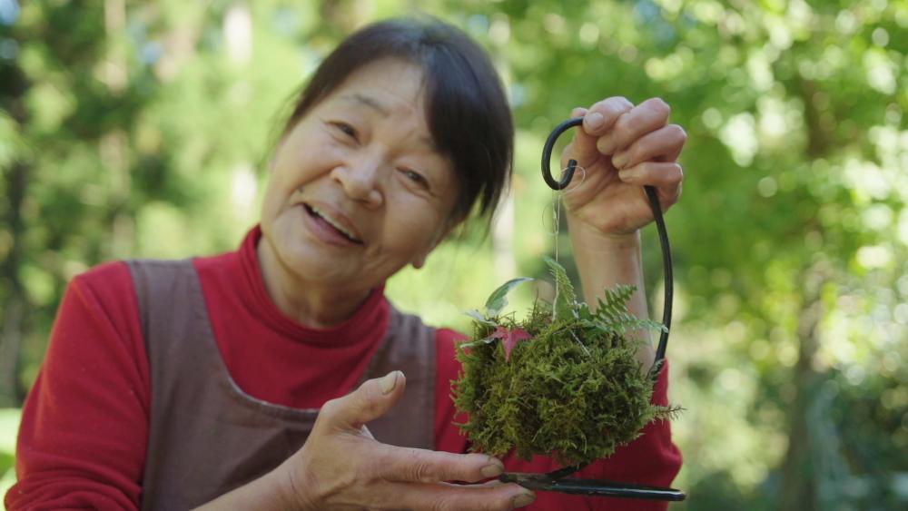 Try moss-ball making at Farm Stay “Yamaai”