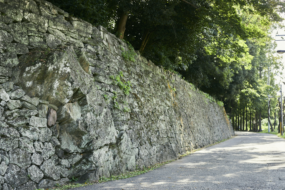 Visit Tokushima Castle Museum to see for yourself