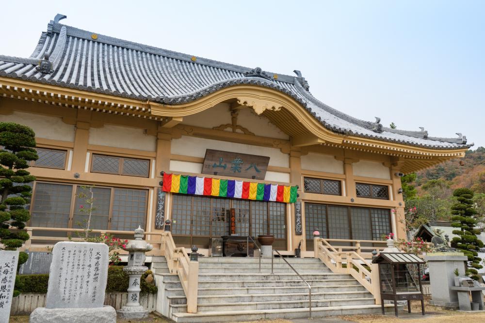 最初に行こう 初心者に優しいお寺
種蒔大師 東林院(たねまきだいし とうりんいん) 広々とした明るい境内。初めて来たのになんだか落ち着く不思議な感じ