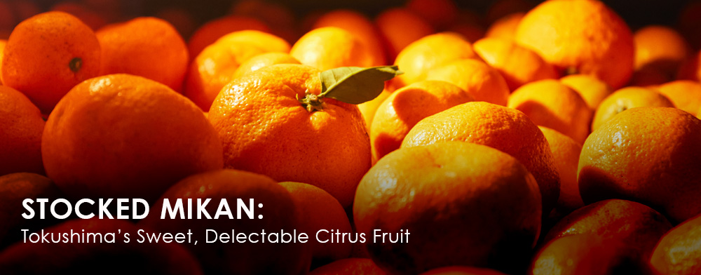 Stocked Mikan: Tokushima’s Sweet, Delectable Citrus Fruit