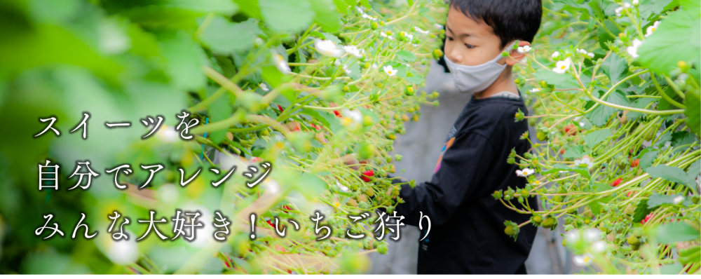 スイーツを自分でアレンジ
みんな大好き! いちご狩り