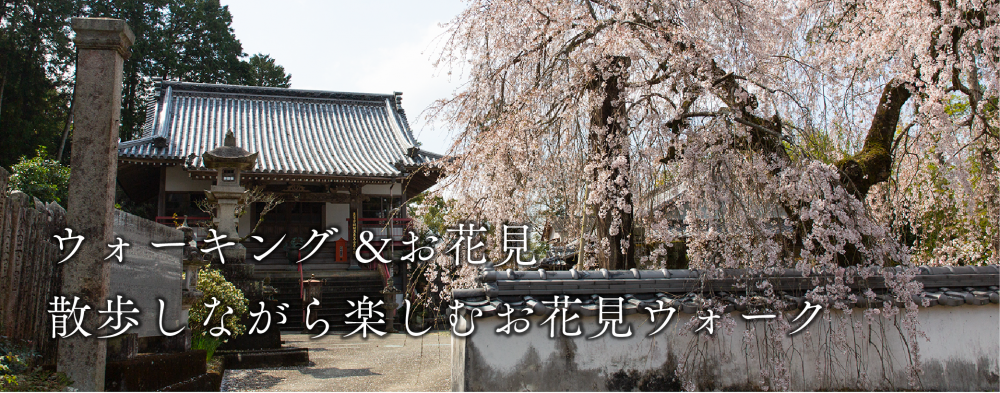 ウォーキング&お花見
散歩しながら楽しむお花見ウォーク