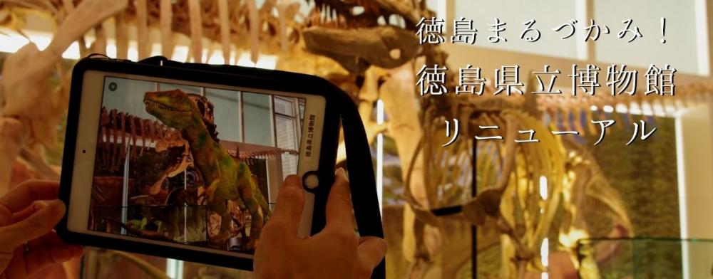 徳島まるづかみ！徳島県立博物館リニューアル