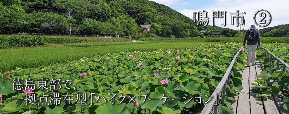 高速ネットと静かな環境で仕事もしっかりしながら、海山歩きでリフレッシュ
徳島東部で、一拠点滞在型「ハイク×ワーケーション」　
鳴門市②
