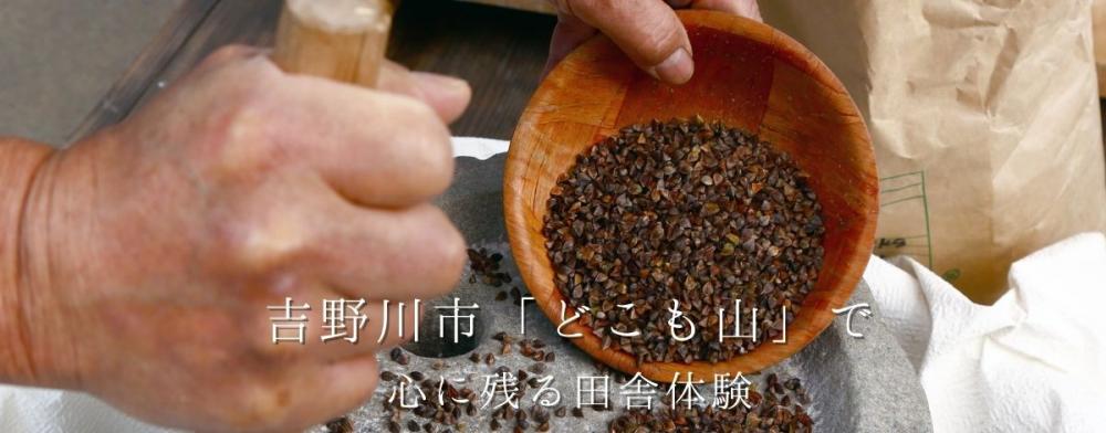 吉野川市「どこも山」で
心に残る田舎体験
