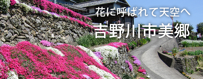 花に呼ばれて天空へ
心のふるさと
徳島県吉野川市美郷