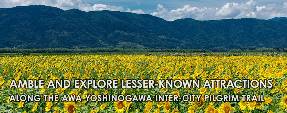 Amble and explore lesser-known attractions 
along the Awa-Yoshinogawa inter-city pilgrim trail