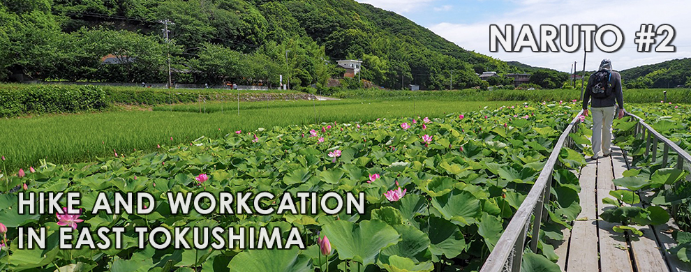 Hike and Workcation in East Tokushima
Naruto #2　
