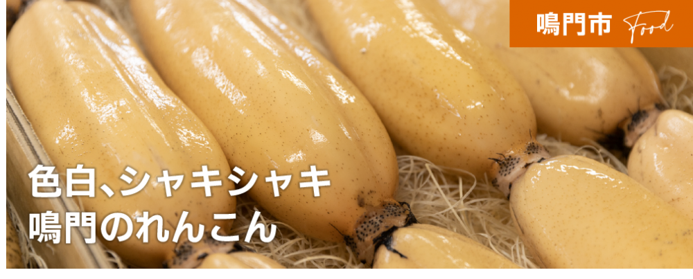 色白、シャキシャキ
鳴門のれんこん