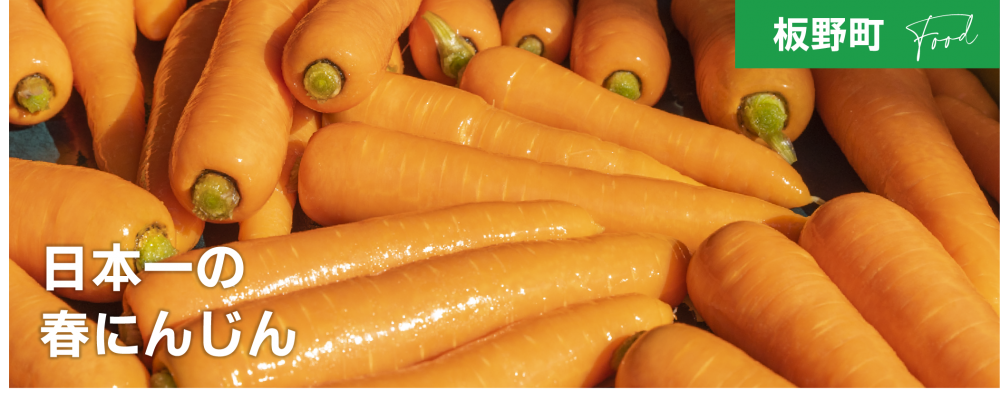 日本一の春にんじん
