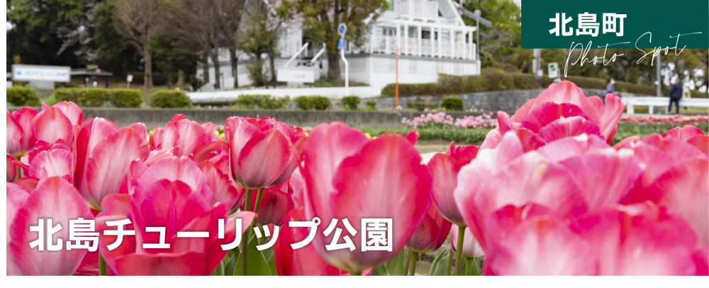 北島チューリップ公園