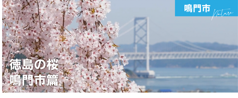徳島の桜　鳴門市篇