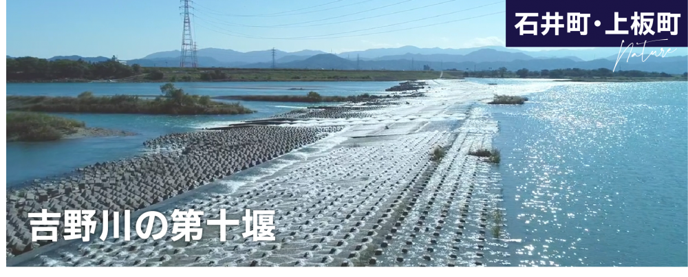 吉野川の第十堰