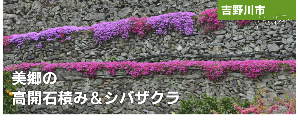 美郷の高開石積み＆シバザクラ