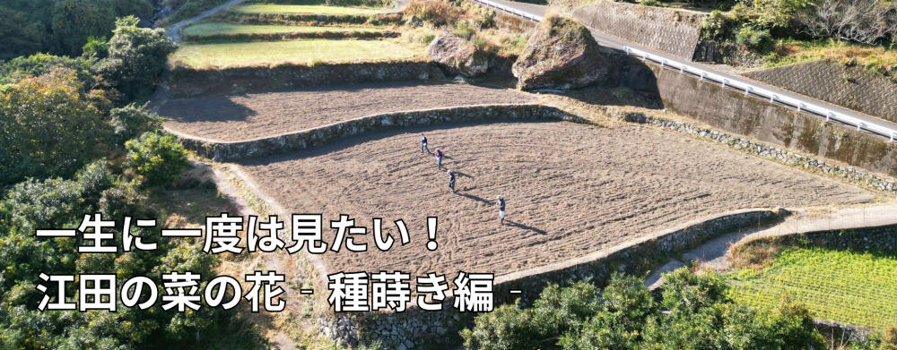 一生に一度は見たい！江田の菜の花 – 種蒔き編 − 