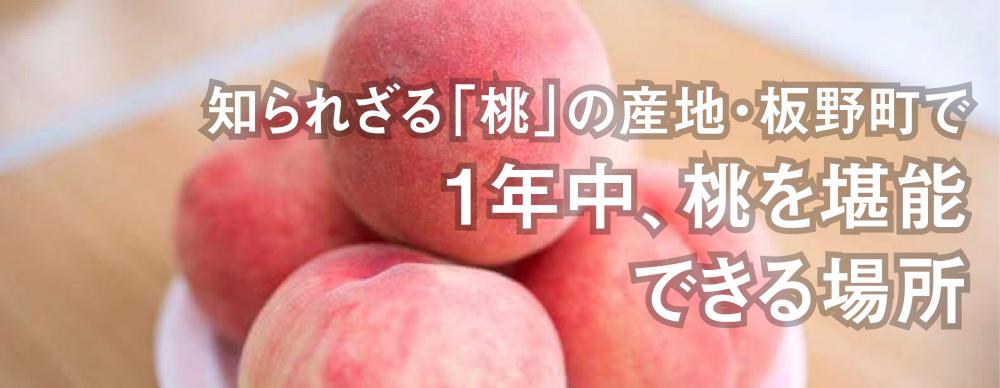 知られざる「桃」の産地・板野町で
1年中、桃を堪能できる場所