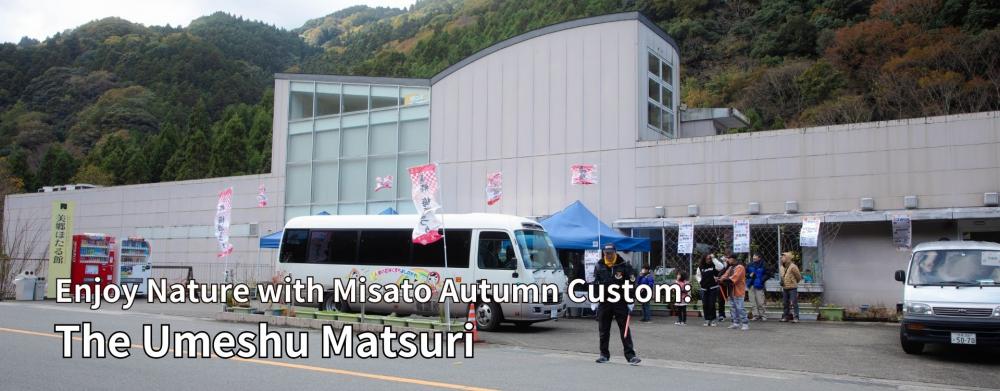 Enjoy Nature with Misato Autumn Custom : the Umeshu Matsuri