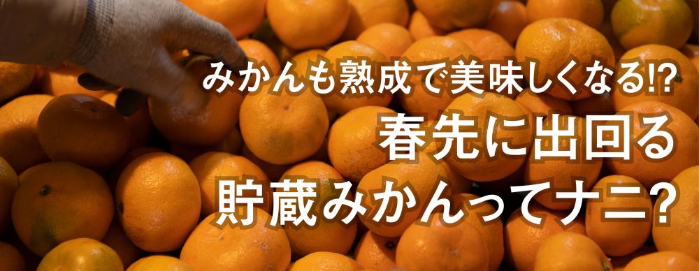 みかんも熟成で美味しくなる!? 
春先に出回る貯蔵みかんってナニ？ 