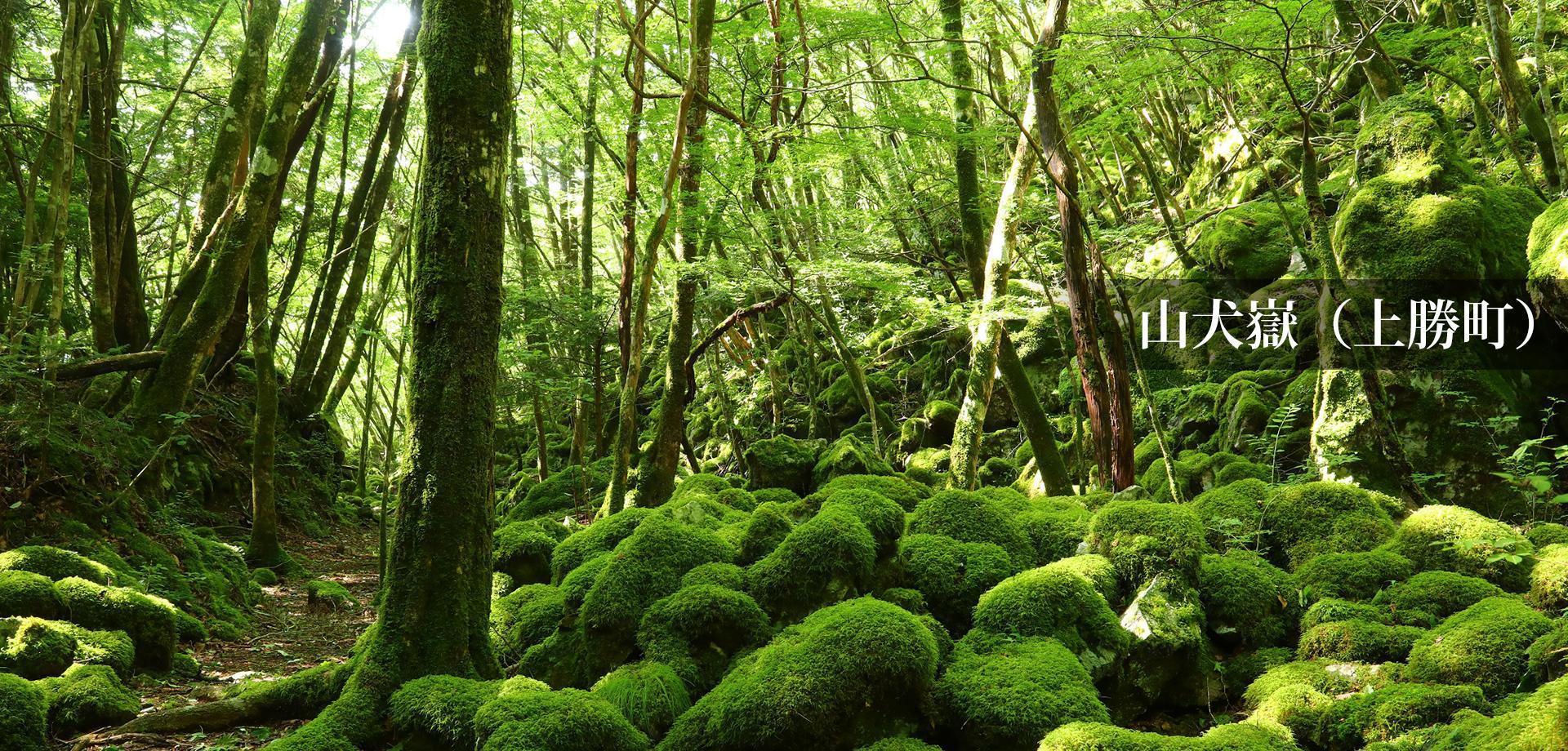 山犬嶽