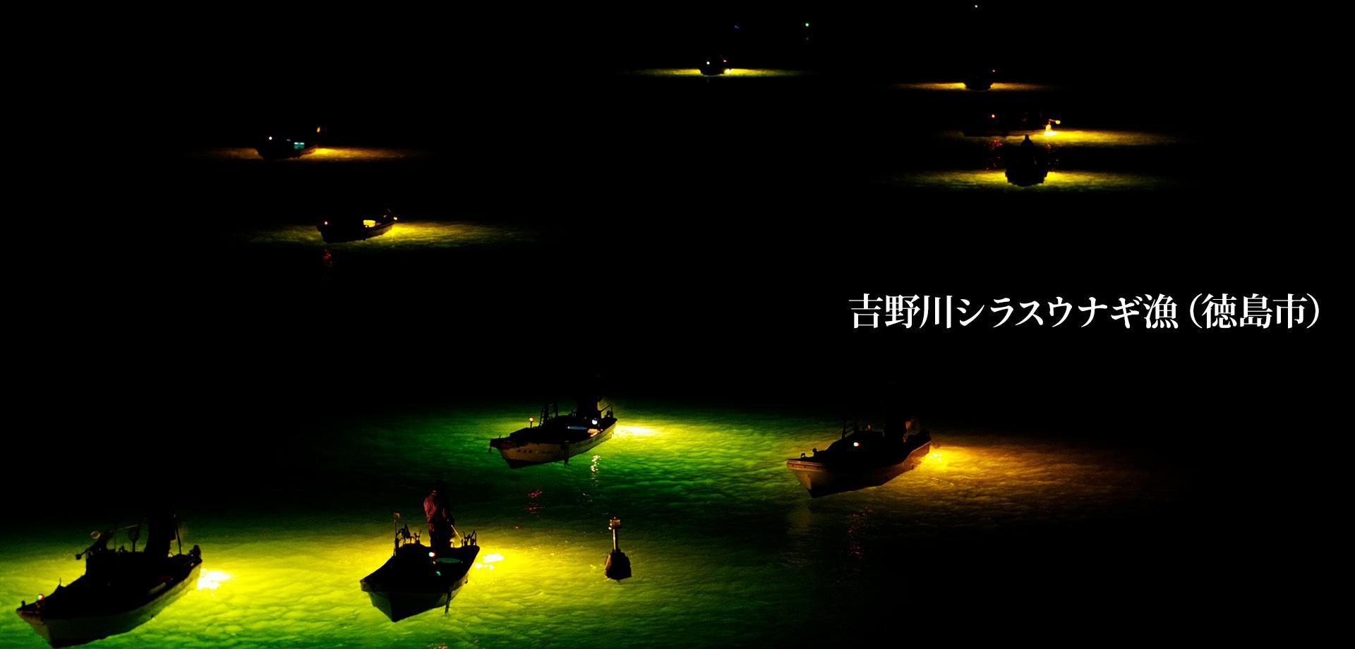 シラスウナギ漁