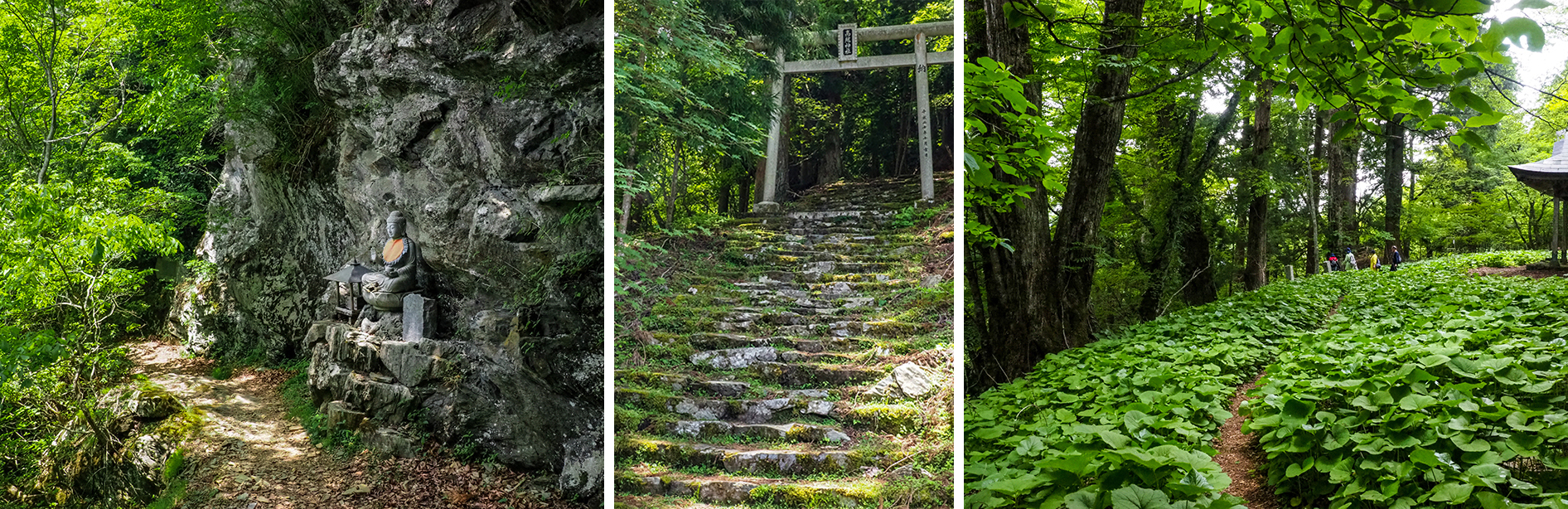 高越山　ルート2　高越寺 & 奥之院巡り 風景写真