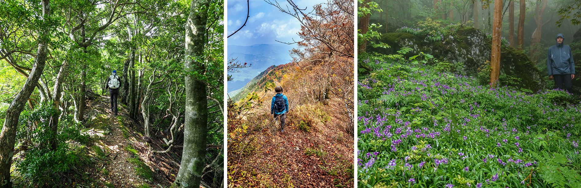 雲早山　ルート2　岳人の森～砥石権現 風景写真