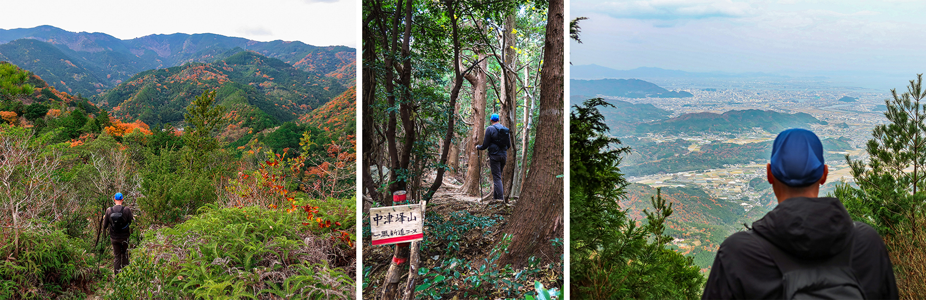  中津峰山　ルート3　金谷登山口～中津峰山周回 風景写真