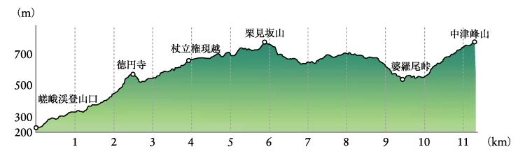  中津峰山　ルート4　徳円寺～中津峰山縦走　高低図