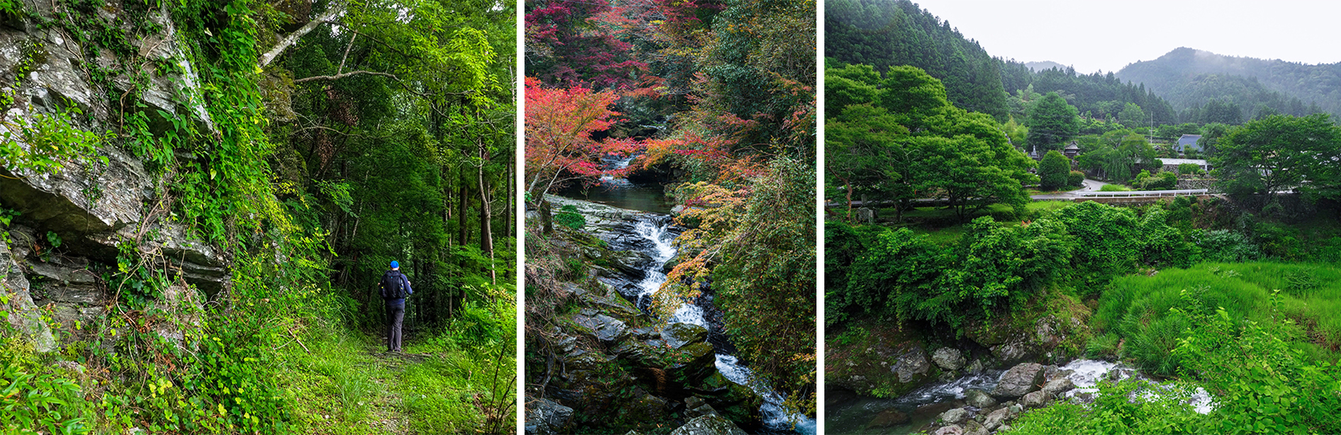 焼山寺山　ルート2　焼山寺～神山 風景写真