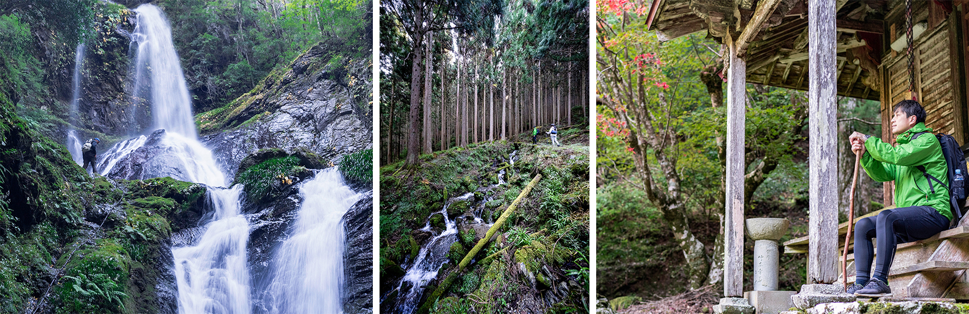 焼山寺山　ルート3　神山～雨乞の滝＆悲願寺 風景写真