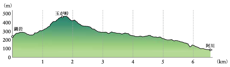 焼山寺山　ルート4　鍋岩～阿川　高低図